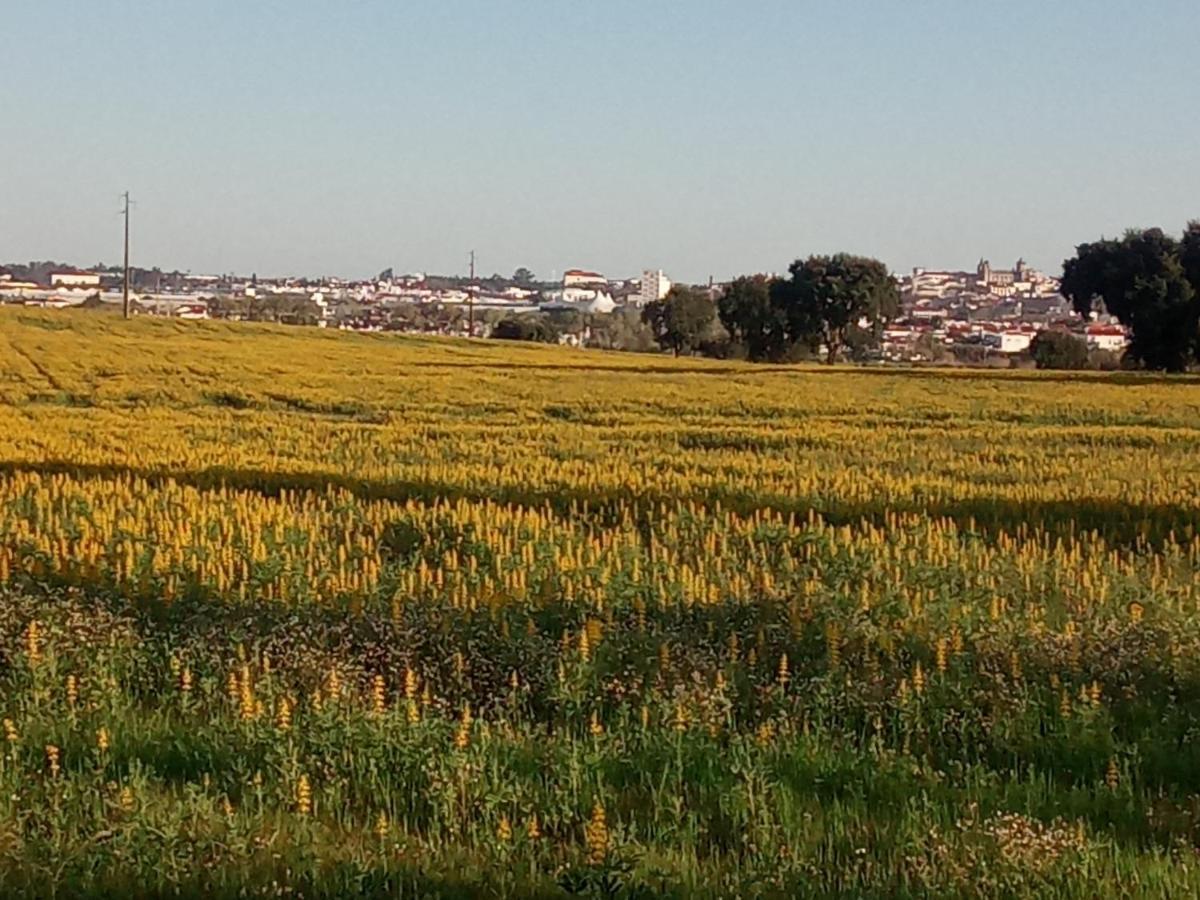 Monte Da Serralheira Agro Turismo Évora Exteriér fotografie