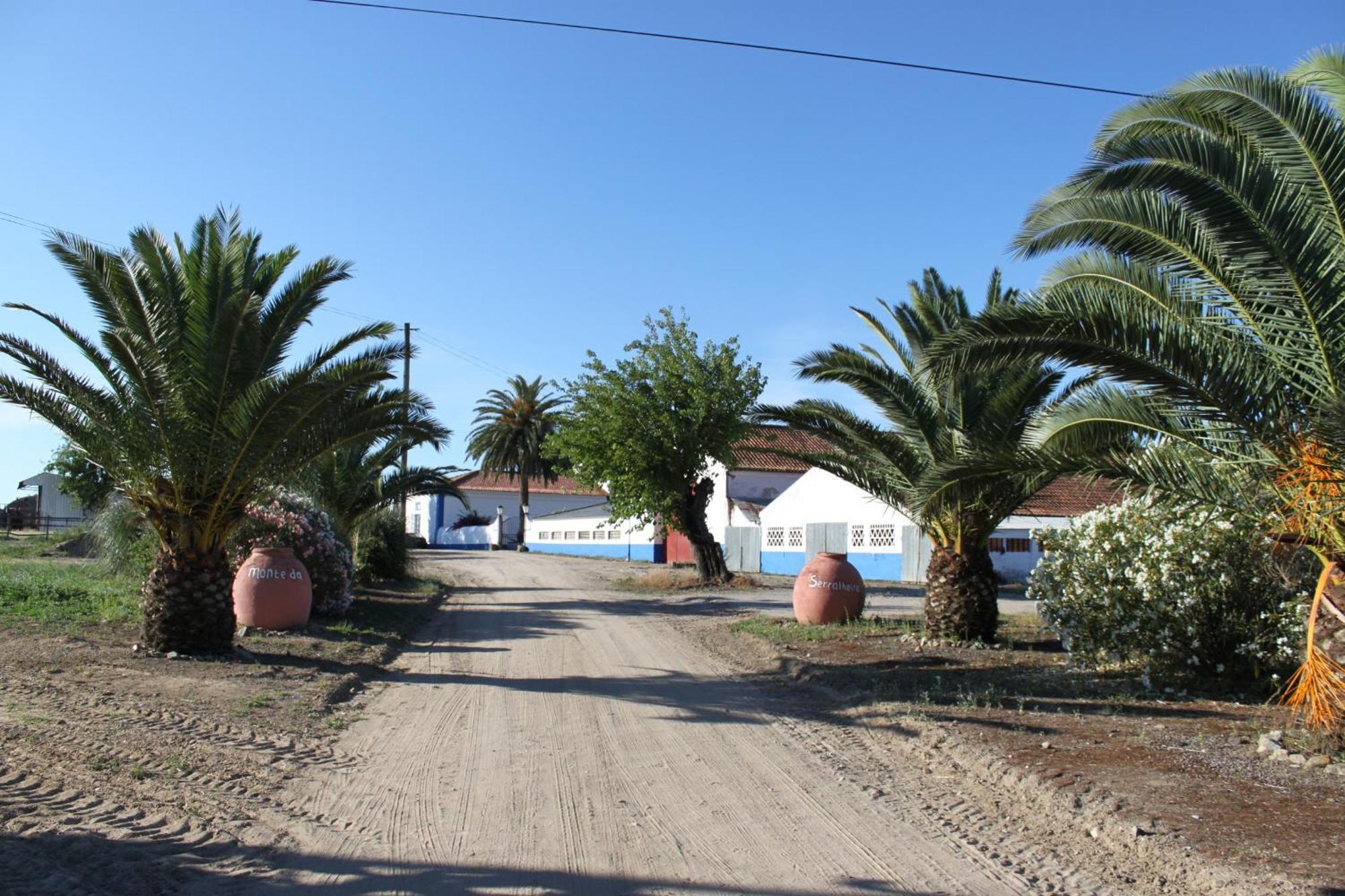 Monte Da Serralheira Agro Turismo Évora Exteriér fotografie